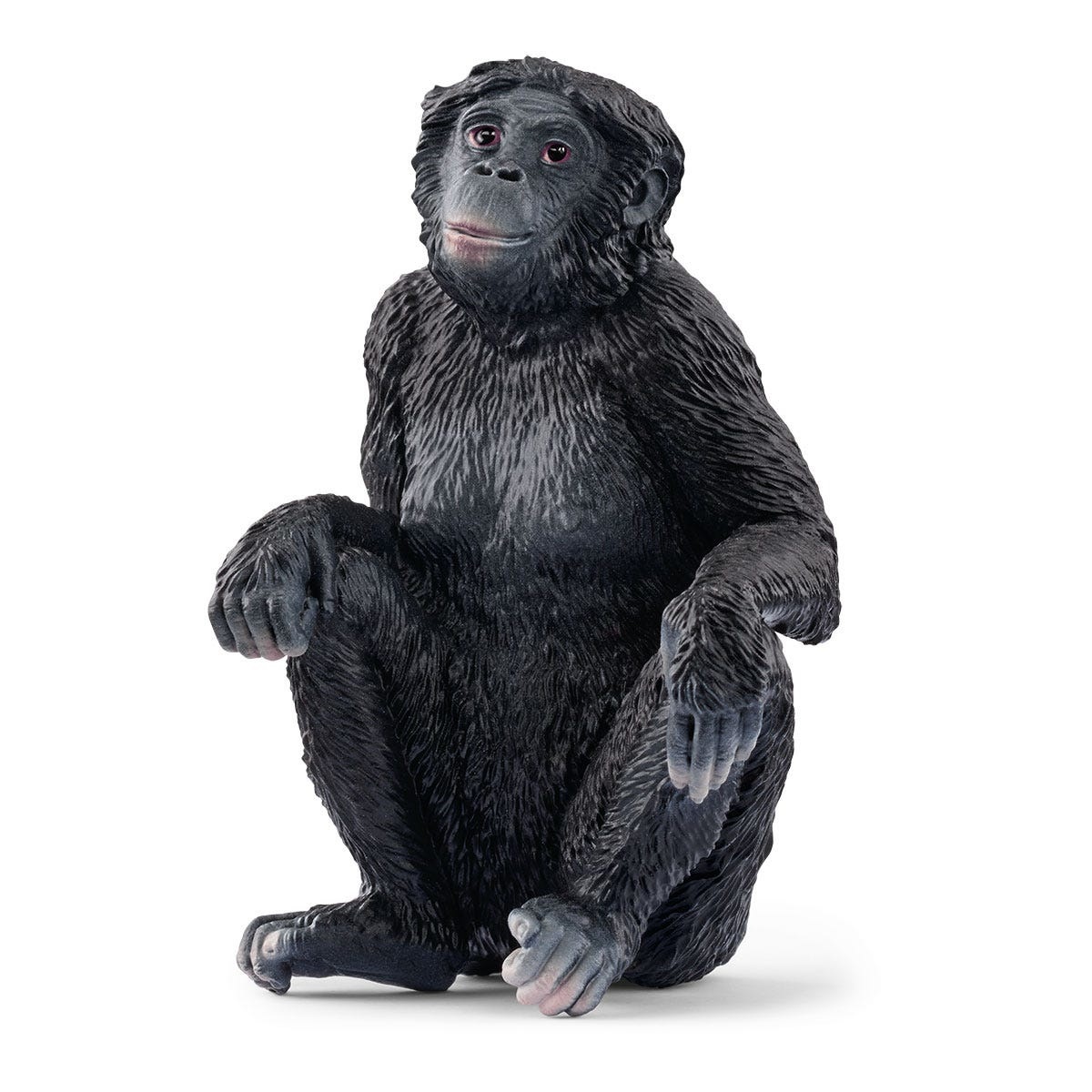 Schleich Bonobo Femmina - Figura WILD LIFE, 4 x 4 x 6 cm, per bambini da 3 anni