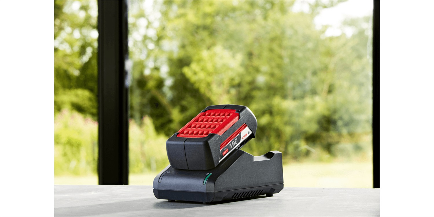 Bosch Kit Batteria 2,0 Ah Caricabatterie AL 36V-20 - Compatibile con Utensili Elettrici da Giardinaggio 36 V