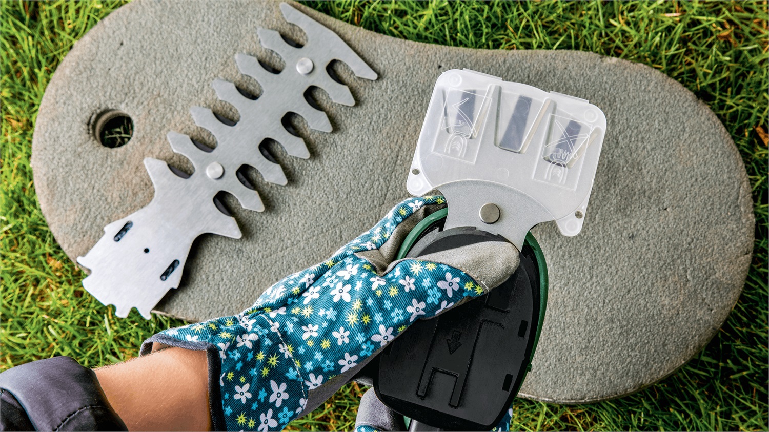 Bosch EasyShear Cesoia per Erba e Rifilasiepi Cordless 8 cm, 3,6 V Ioni di Litio, Nero e Verde