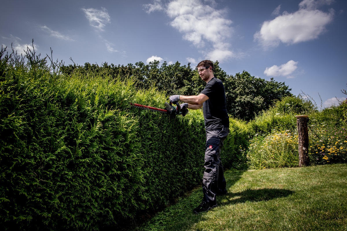 Metabo HS 18 LTX 65 - Tagliasiepi a batteria 18 V, Leggera e Silenziosa, 2,3 kg, senza batteria e caricabatterie