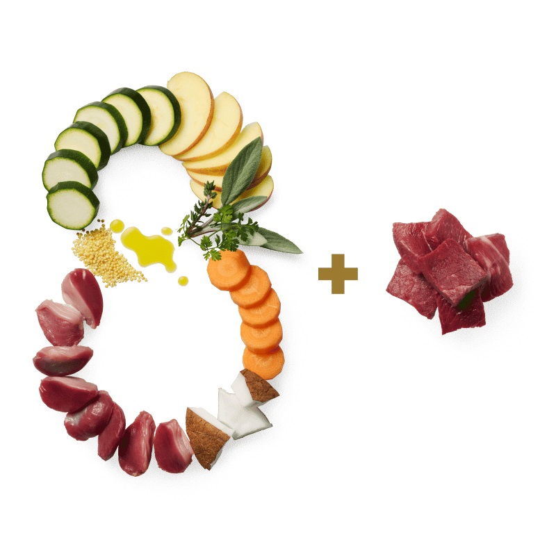 Terra Canis Essential 8 Cibo Umido per Cani - Pollo e Cavallo, 780 g, Alta Qualità per Tutte le Razze