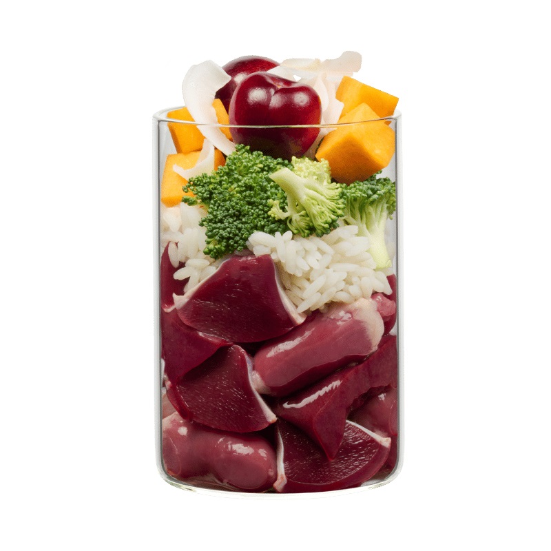 Terra Canis Cibo Umido per Cani Pollo con Riso, Sesamo e Purea di Ciliegie - 400 g