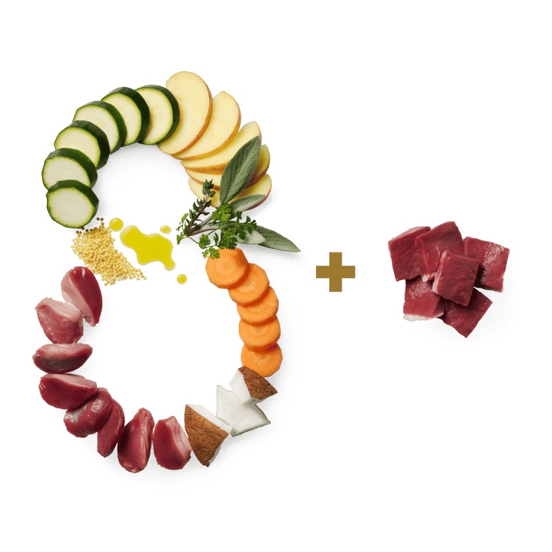 Terra Canis Essential 8 Cibo Umido per Cani - Pollo e Manzo, 385 gr