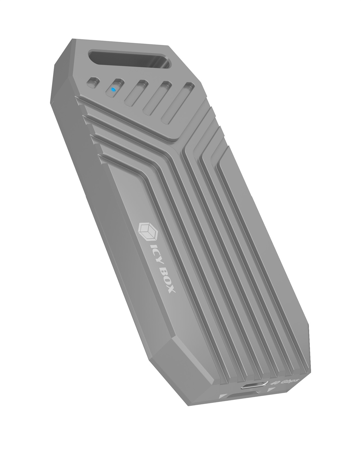 Icy Box IB-1919M-C42 Box Esterno SSD Argento M.2 NVMe USB4 fino a 8TB 40Gbps