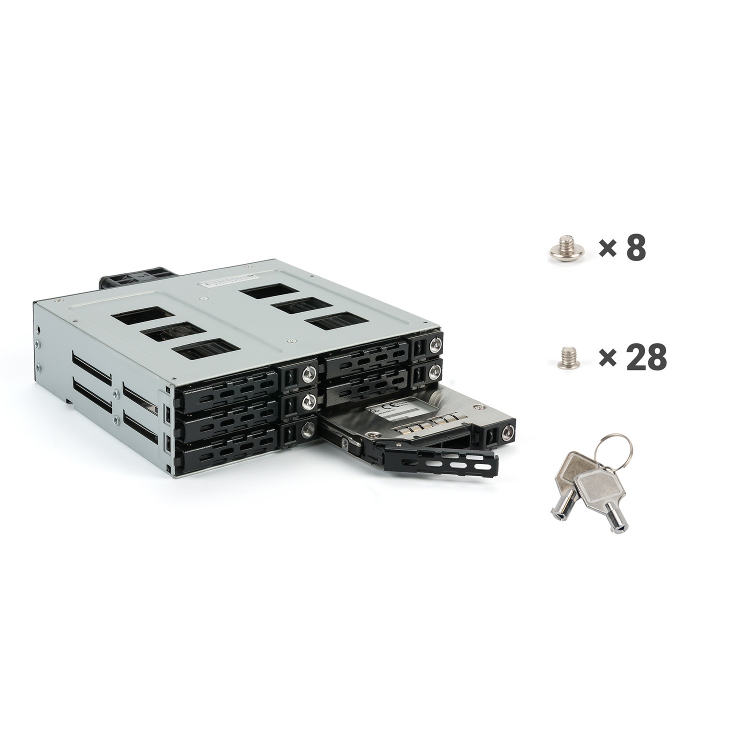 Fantec MR-SA1262-12G Backplane SAS 12G SATA 6G per 6 HDD/SSD da 2,5