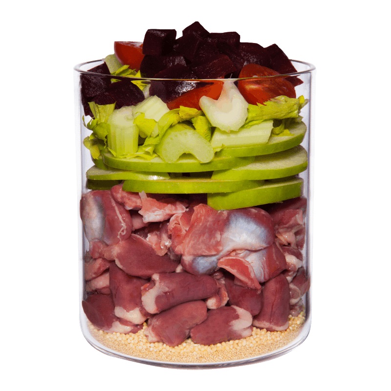 Terra Canis Pollo con Amaranto, Pomodori e Basilico - Cibo Umido per Cani Adulto - Confezione da 6 x 800 g