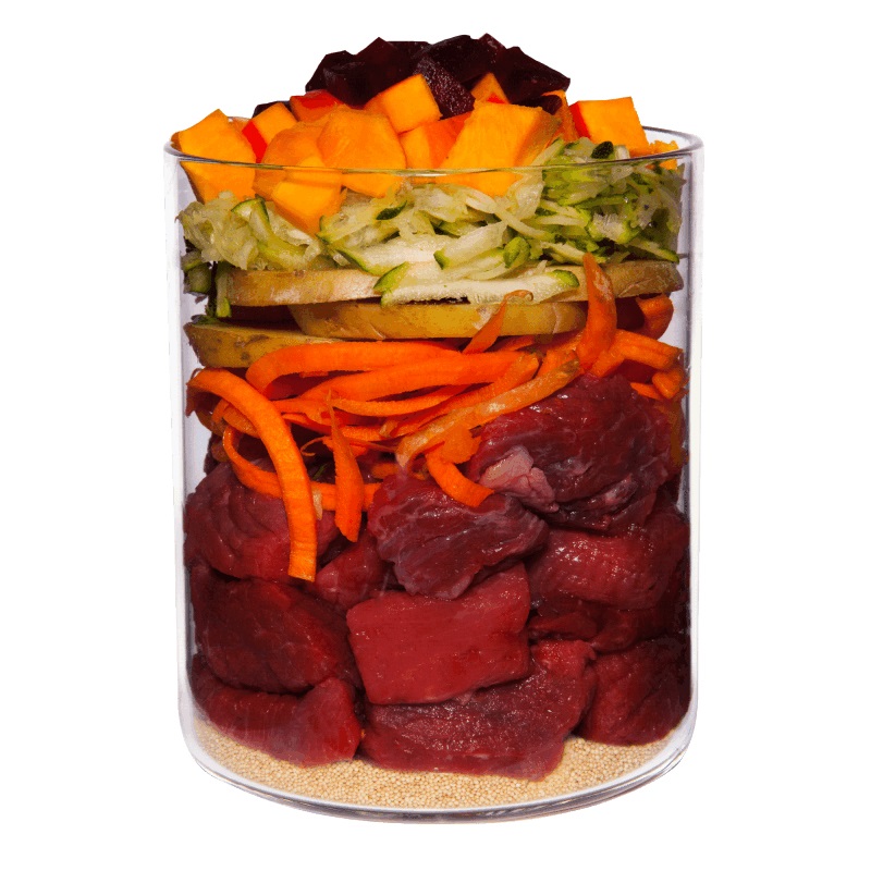 Terra Canis Cibo Umido per Cani Adulto - Selvaggina con Zucca, Mirtillo Rosso e Amaranto - 800 g