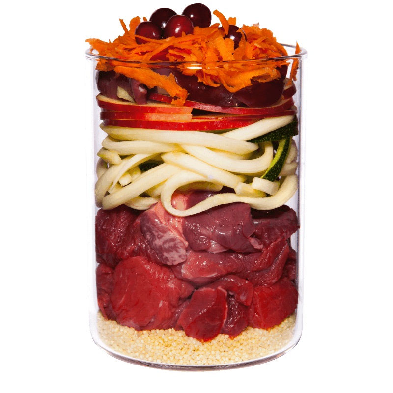 Terra Canis Puppy Cibo Umido per Cuccioli Manzo con Mela, Carote e Rosa Canina - 400 g