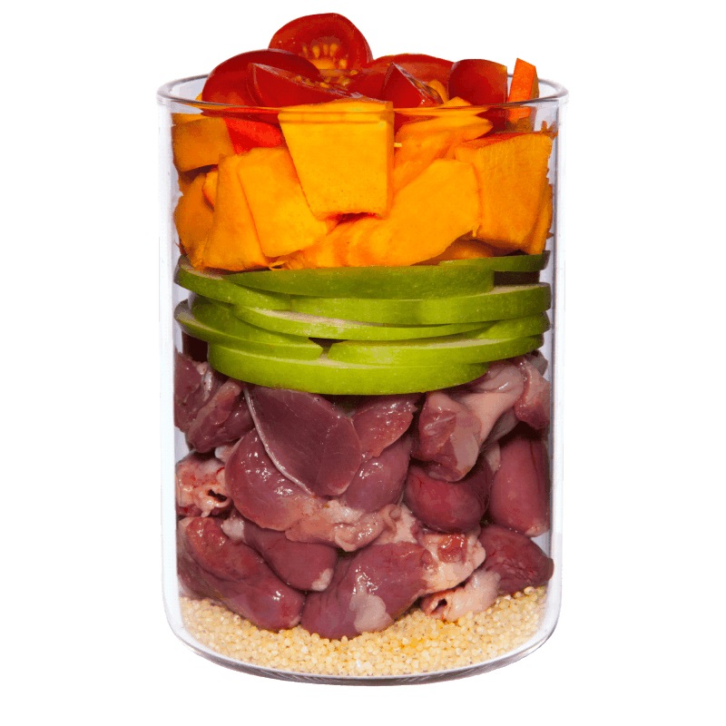 Terra Canis Puppy Cibo Umido per Cani Pollo e Zucca con Camomilla e Polline di Fiori - 400 g