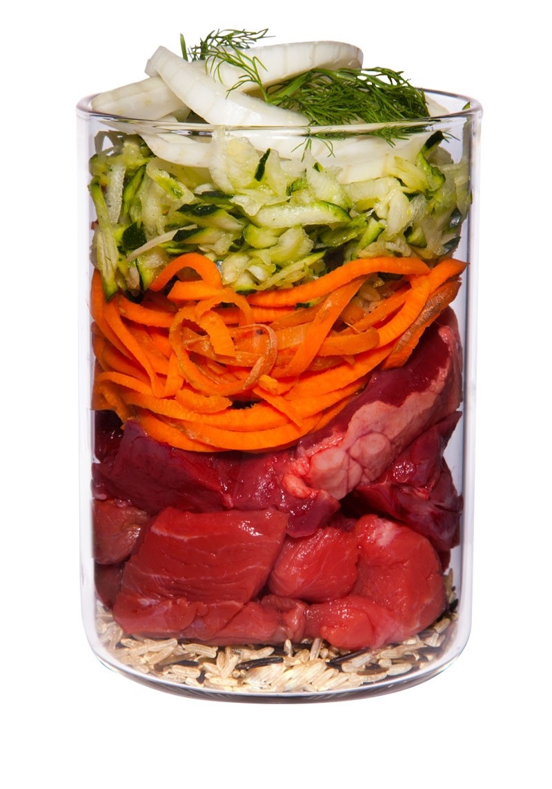 Terra Canis Puppy Agnello con Zucchine, Finocchio e Yogurt Magro - Alimento Umido Completo per Cuccioli - 400 g