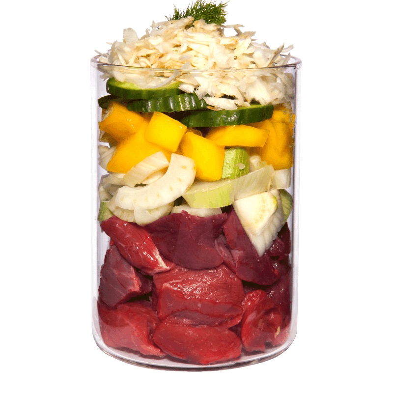 Terra Canis Light Manzo con Zucca, Mango e Carciofo - Cibo Umido Dietetico per Cani - 400 gr