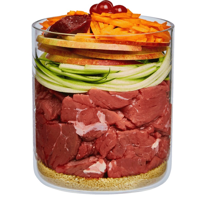 Terra Canis Puppy Cibo Umido per Cani - Manzo con Mela, Carota e Rosa Canina - 800 g