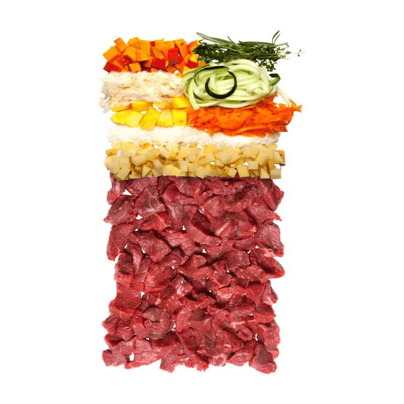 Terra Canis Canireo al Cervo - Cibo Secco per Cani 5 kg, Senza Cereali, Naturale al 100%