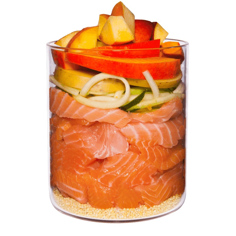 Terra Canis Cibo Umido per Cani Adulto al Salmone con Miglio, Pesca ed Erbe Aromatiche - 800 g