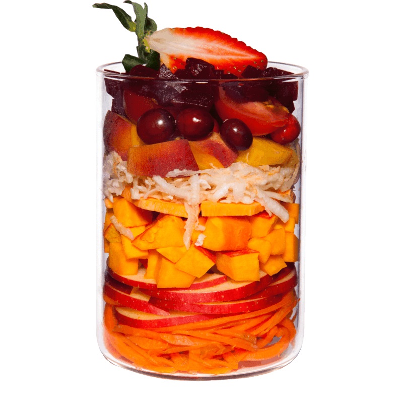 Terra Canis Giardiniera Red Detox - Alimento Umido Vegetale per Cani Adulti - 400 g