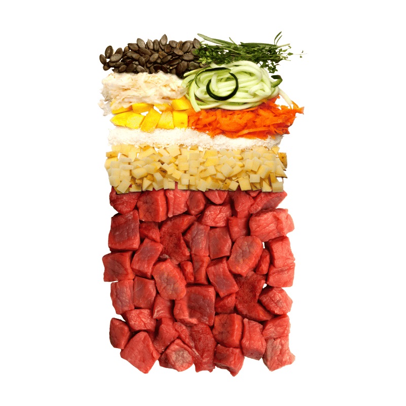 Terra Canis Canireo al Manzo - Cibo Secco Naturale per Cani Adulto, 5 kg, Senza Cereali