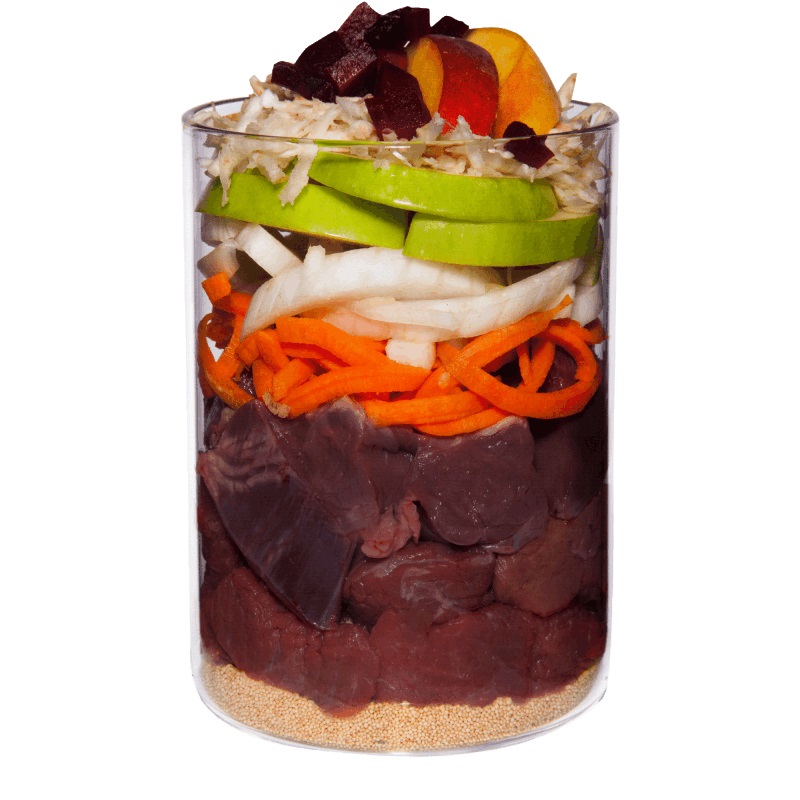 Terra Canis Classic Cibo Umido per Cani al Cavallo con Amaranto, Pesca e Barbabietola - 400 g