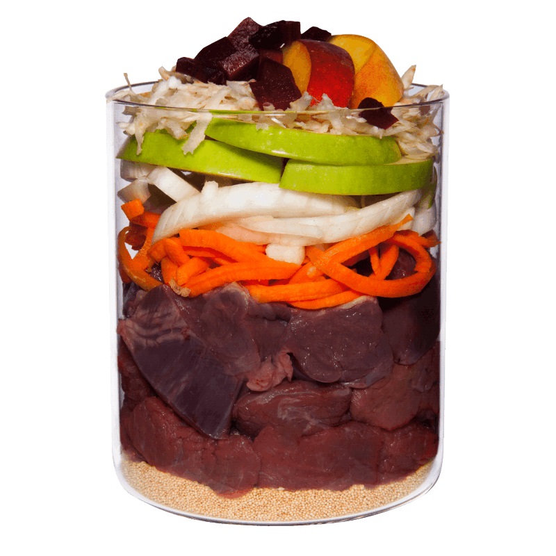 Terra Canis Classic Cibo Umido per Cani - Cavallo con Amaranto, Pesca e Barbabietola 800 g