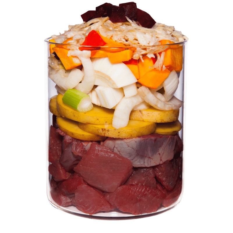 Terra Canis Cibo Umido per Cani Grain Free al Cavallo con Rapa Gialla, Finocchio e Salvia - 800 g