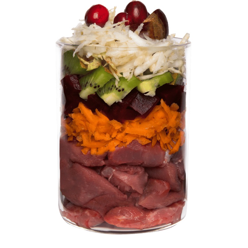 Terra Canis Cibo Umido Grain Free per Cani - Cinghiale con Barbabietola, Castagna Dolce e Semi di Chia - Lattina da 400 g