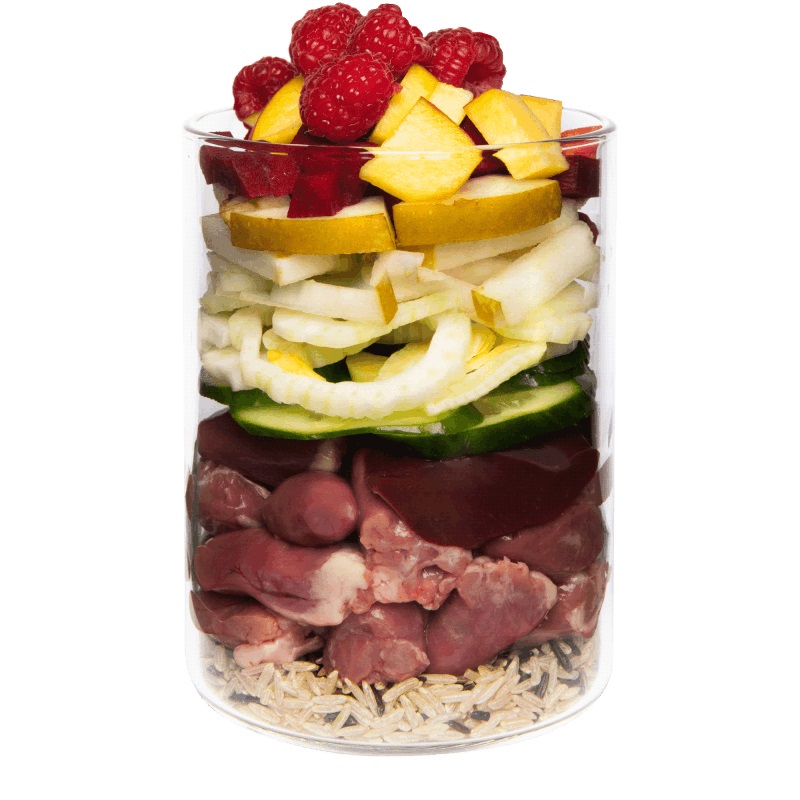 Terra Canis Classic Cibo Umido per Cani - Anatra con Riso Integrale, Barbabietola Rossa, Pera e Sesamo - 400 g