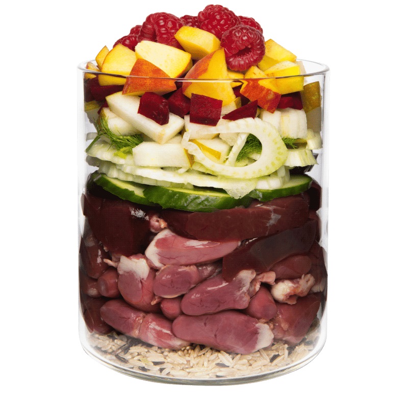 Terra Canis Cibo Umido per Cani Adulto - Anatra con Riso Integrale, Barbabietola Rossa, Pera e Sesamo - 800 g