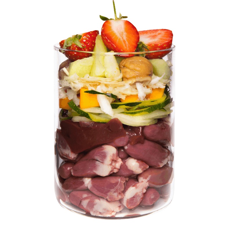 Terra Canis Grain Free Cibo Umido per Cani con Anatra, Zucca, Fragola e Fiore di Sambuco - 400 g