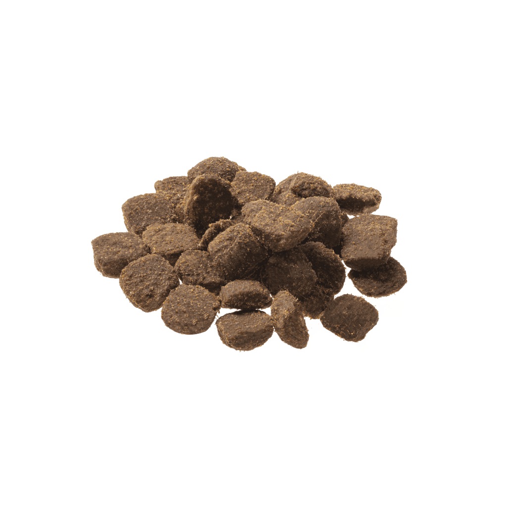 GranataPet Cibo Secco per Cani Adulto Agnello 10 kg - Senza Cereali e Zucchero, Alimento Completo con Antiossidanti