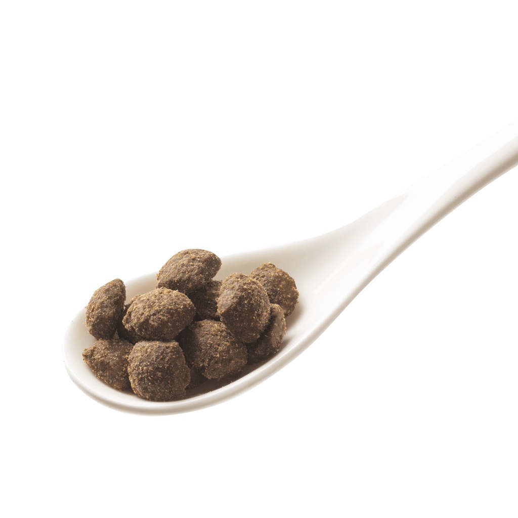 GranataPet Cibo Secco per Cani Adulto Agnello 10 kg - Senza Cereali e Zucchero, Alimento Completo con Antiossidanti