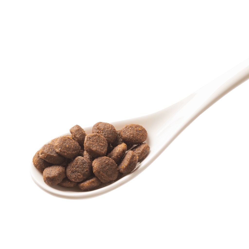 GranataPet DeliCatessen Cibo Secco per Gatti Adulto al Pollame, Senza Cereali e Senza Zucchero - 300 g