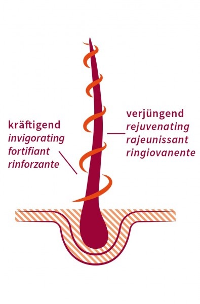 Khadi Olio per Capelli Ayurvedico Strong Amla 50 ml - 100% Naturale, Vegano, Senza Siliconi, Rinforza Radici e Dona Lucentezza