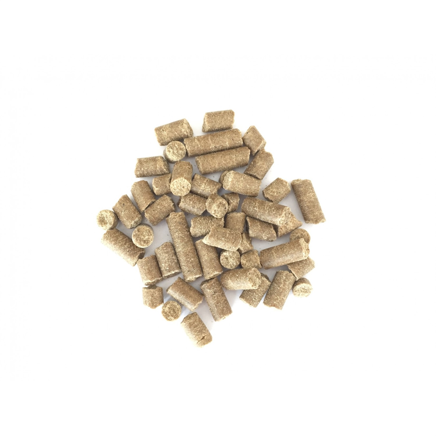 Bellfor Naturgut-Schmaus 10 kg - Cibo secco ipoallergenico per cani con insetti, senza cereali, spremuto a freddo