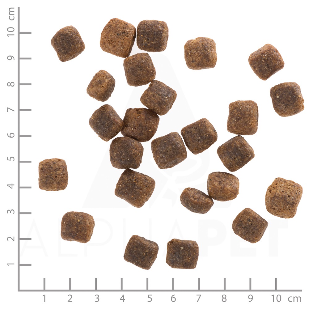 Wolfsblut Wide Plain Senior Cibo Secco per Cani Adulto e Anziani con Carne di Cavallo e Patate Dolci - 12,5 kg