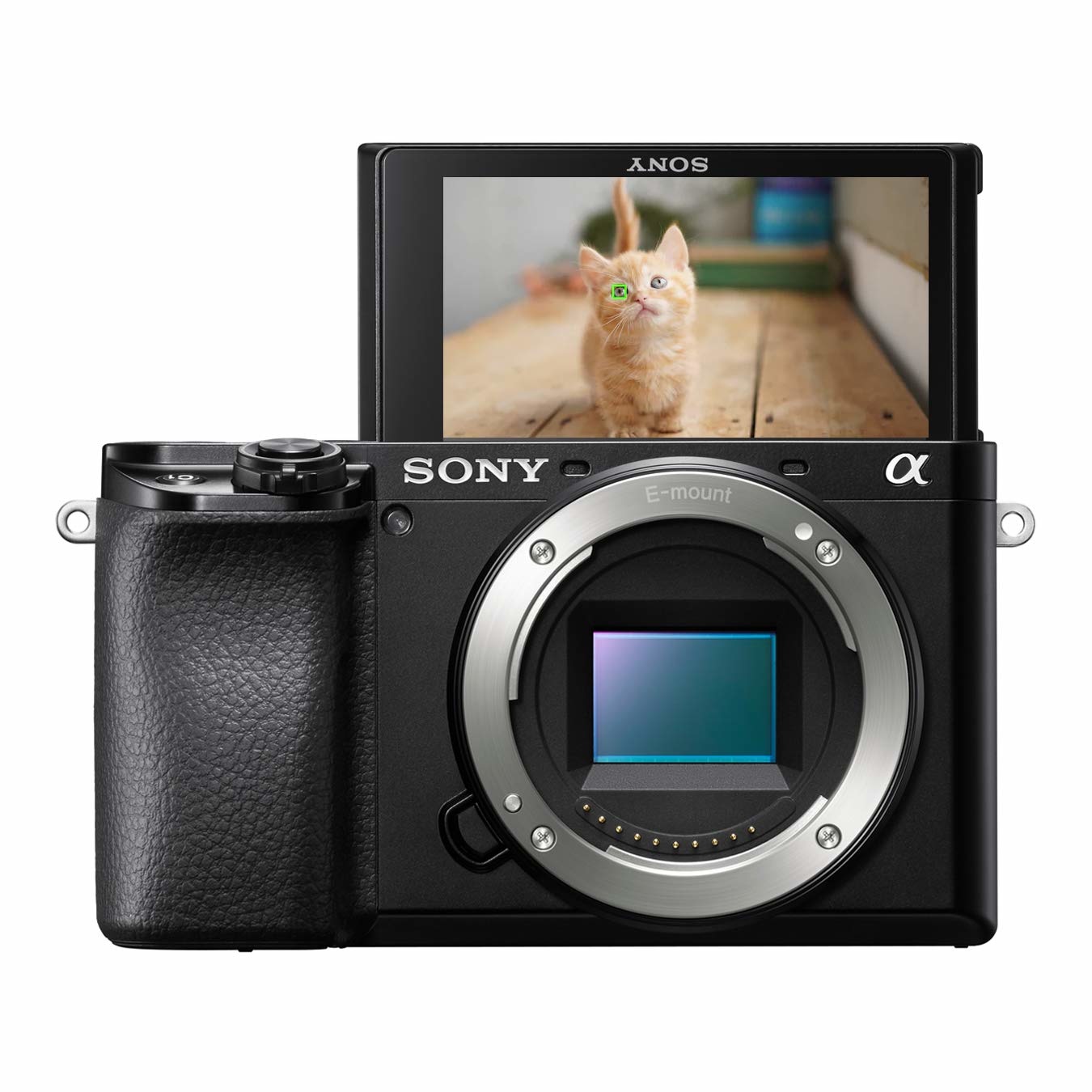 Sony Alpha 6100 Fotocamera Mirrorless con Sensore APS-C, 24,2 MP, Real Time Eye AF, Autofocus Veloce e Display Inclinabile - Garanzia 2 Anni