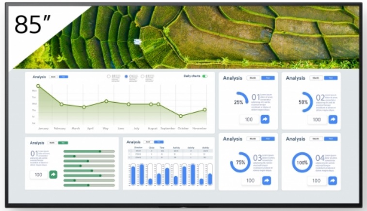 Sony FW-85BZ30L Pannello Piatto per Segnaletica Digitale 85