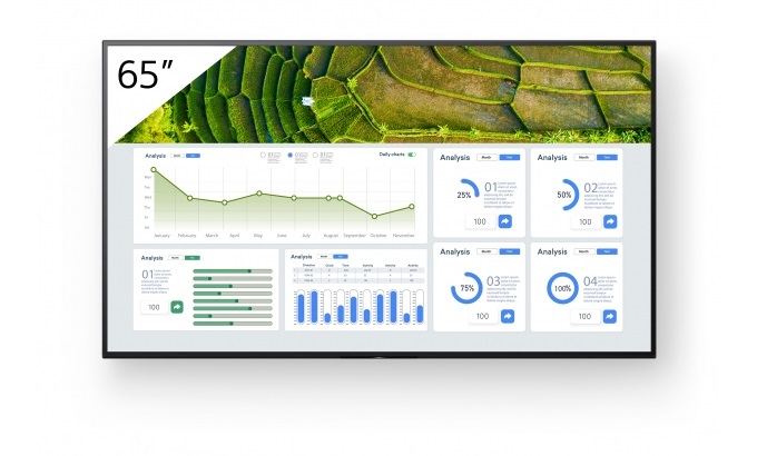 Sony FW-65BZ30L Pannello Piatto per Segnaletica Digitale 65