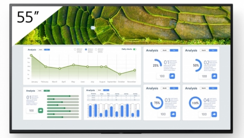 Sony FW-55BZ30L Display Professionale 55