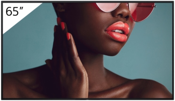 Sony FW-65BZ40L Display Professionale 65