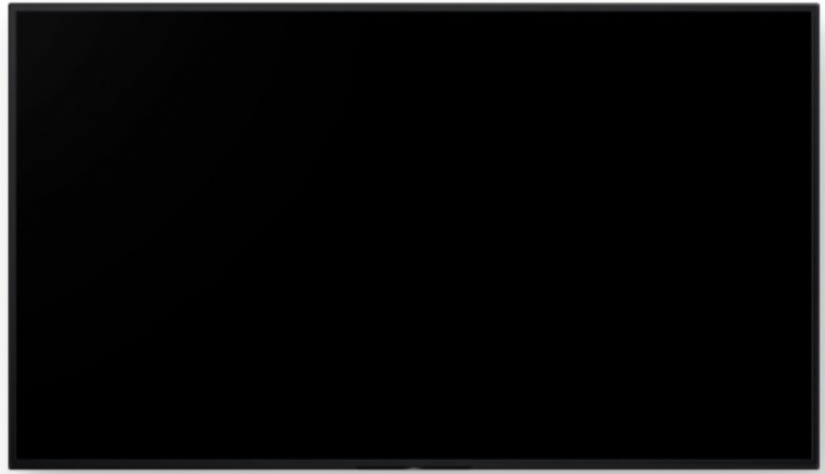 Sony FW-65BZ40L Display Professionale 65