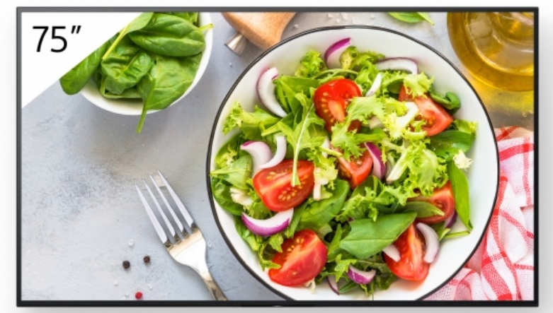 Sony PRO BRAVIA FW-75BZ35L - Display Professionale 75