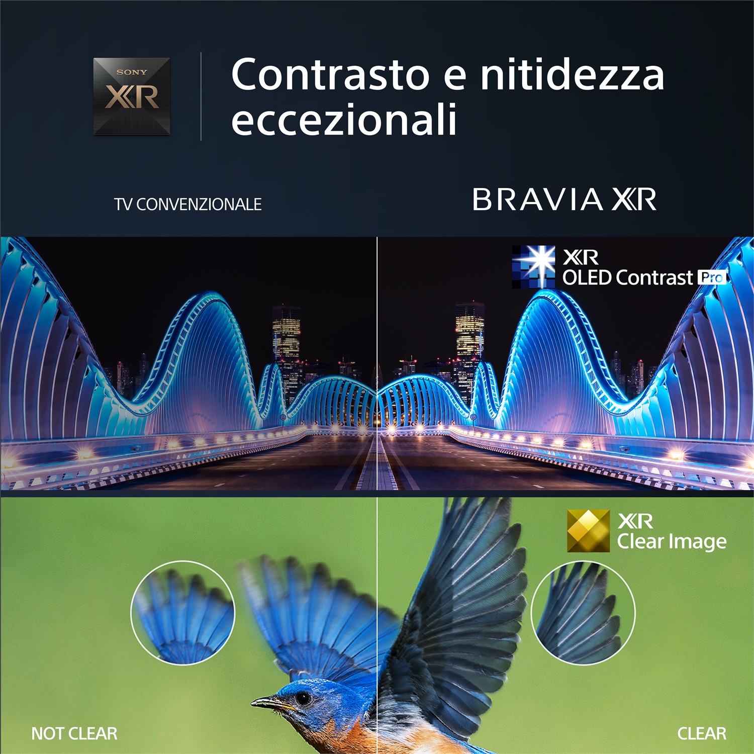 Sony XR-55A80L 55