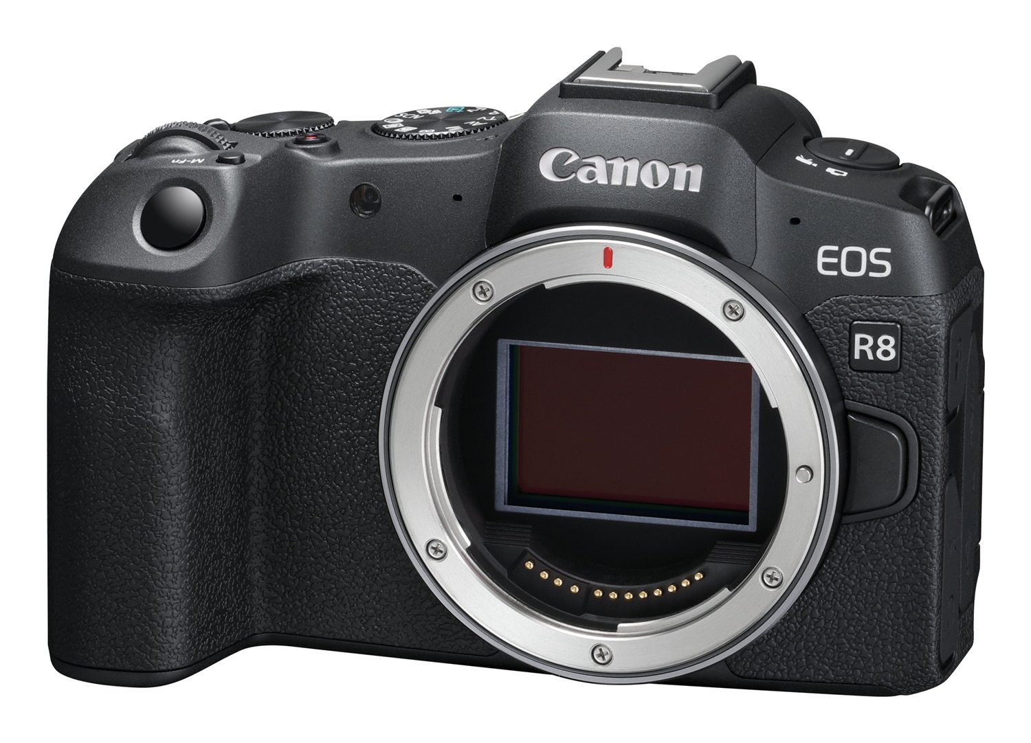 Canon EOS R8 - Fotocamera Mirrorless Full Frame 24,2 MP, ISO 50-102.400, Scatto Continuo 40 fps, Video 4K fino a 60p, Autofocus Dual Pixel CMOS AF II