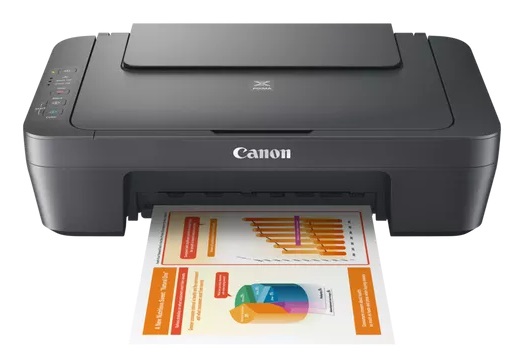 Canon PIXMA MG2556S Stampante Multifunzione Ad Inchiostro A4 4800 x 600 DPI, Stampa e Scansione a Colori, Grigio