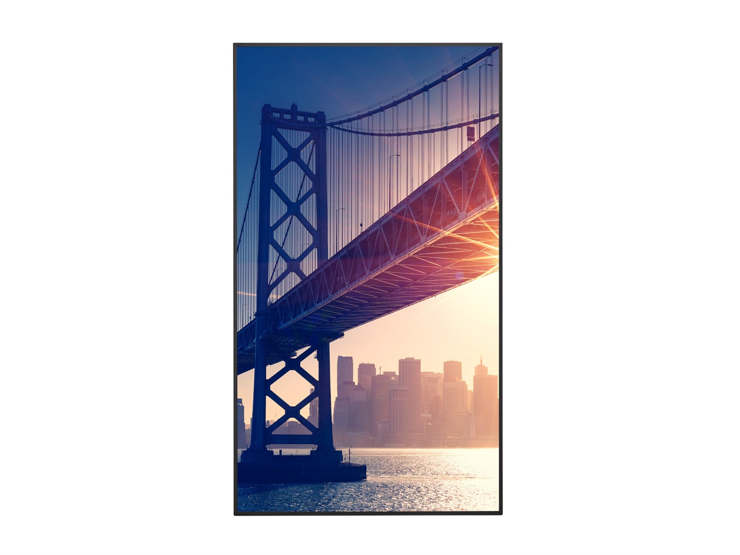 Sharp/NEC ME652 Pannello Piatto per Segnaletica Digitale 165,1 cm (65