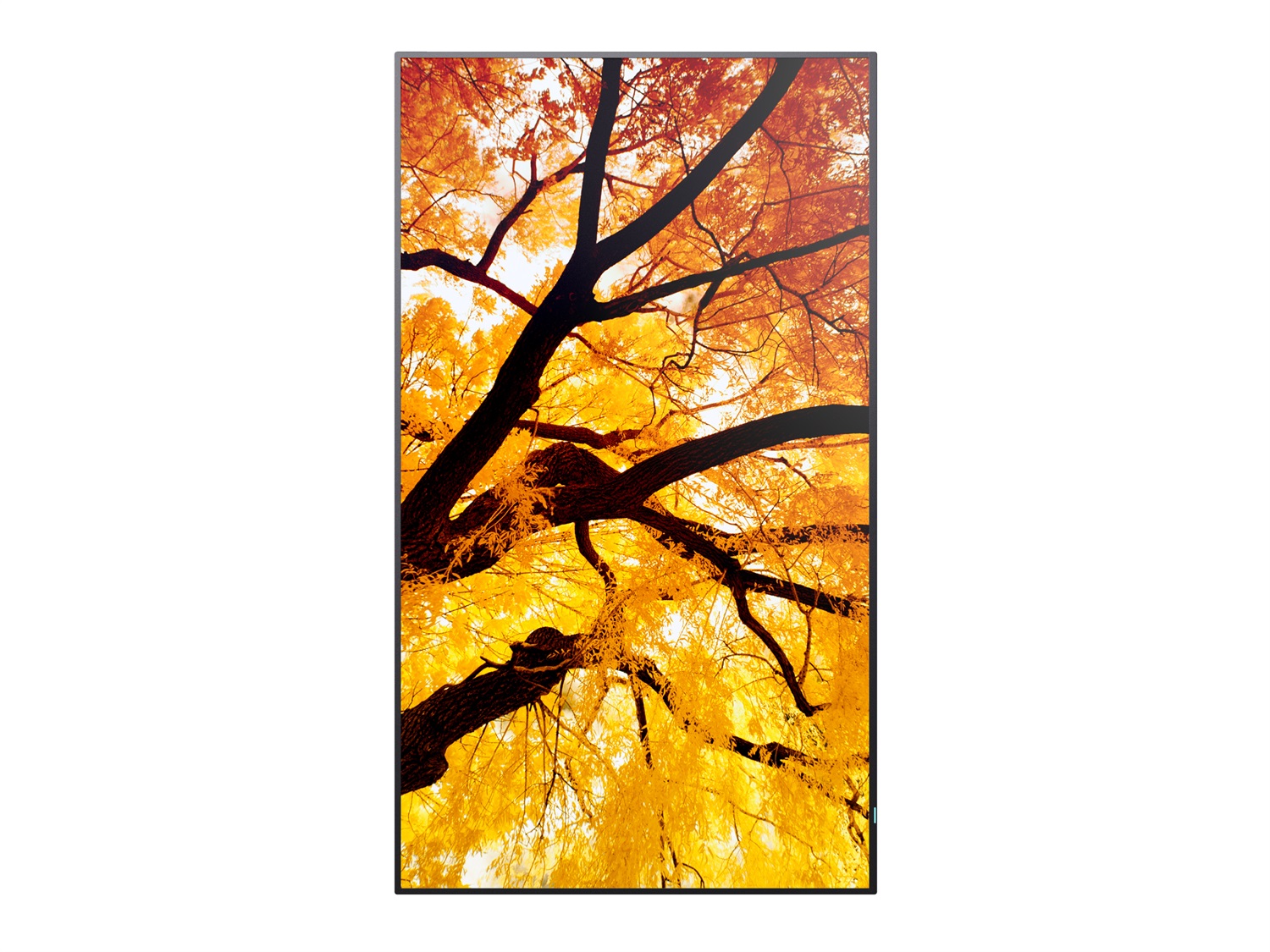 Sharp MultiSync M432 Pannello piatto per segnaletica digitale 108 cm (42.5