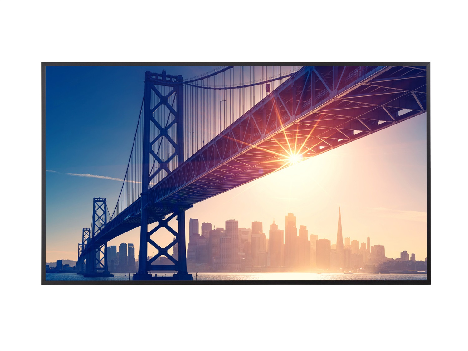 Sharp PN-ME982 Monitor Professionale 98