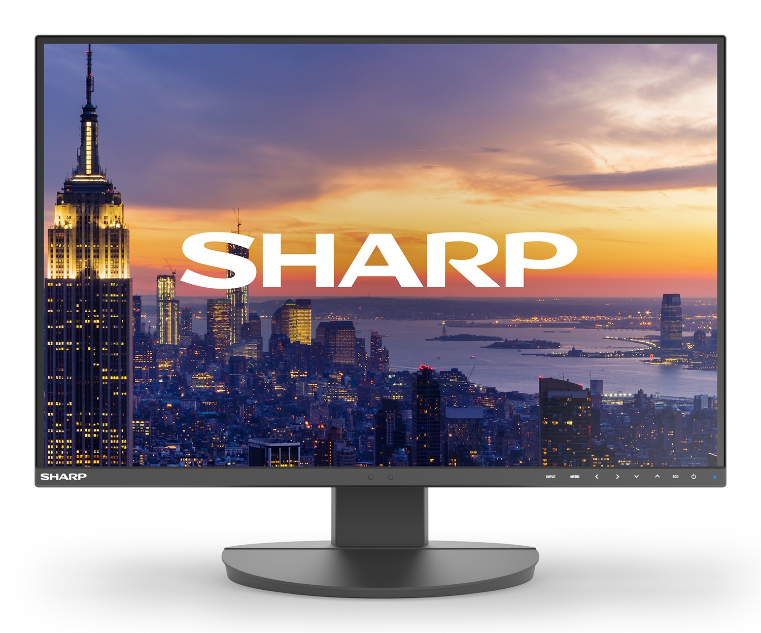 Sharp MultiSync EA242W Monitor PC 24