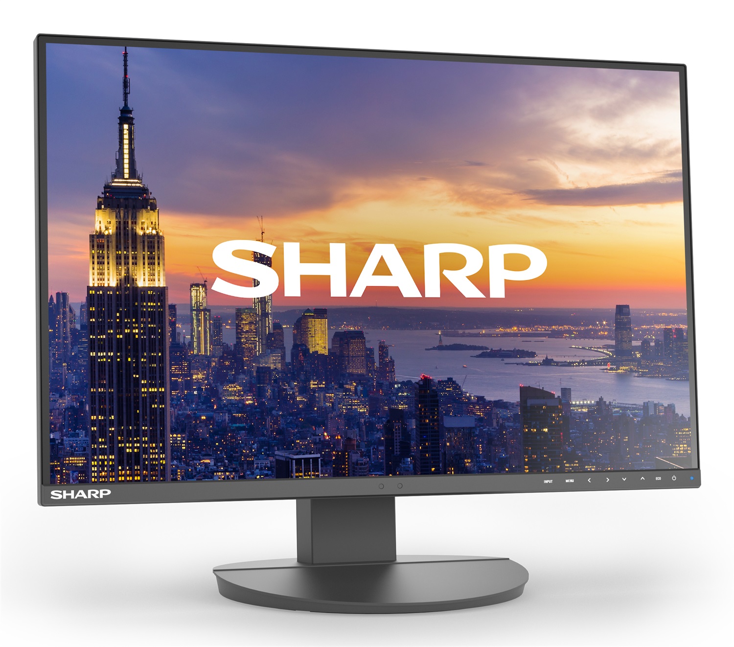 Sharp MultiSync EA242W Monitor PC 24