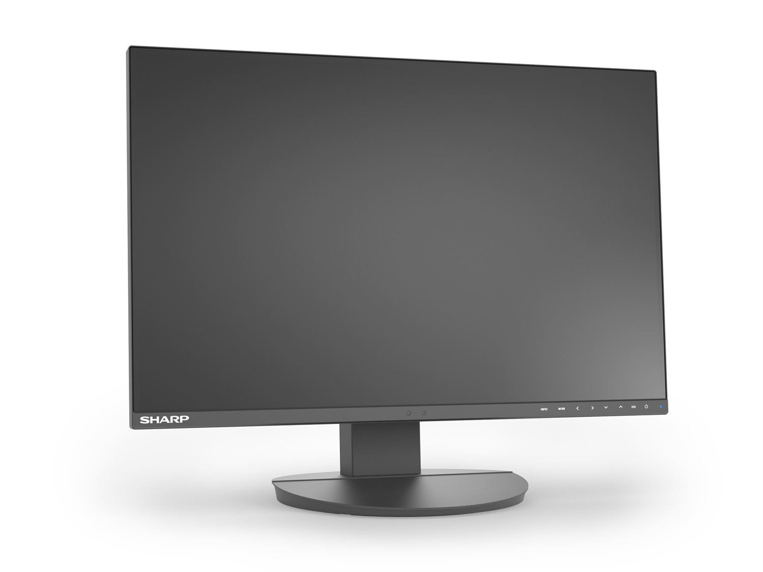 Sharp MultiSync EA242W Monitor PC 24