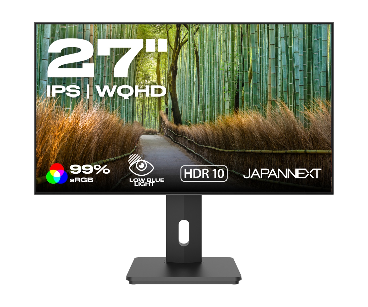 JAPANNEXT Monitor 27 IPS Frameless WQHD 2560x1440 | HDR | Altezza e inclinazione regolabili | Altoparlanti integrati | Flicker Free | G-Sync/FreeSync